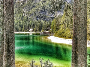 (foto Fabio Cavazzini)