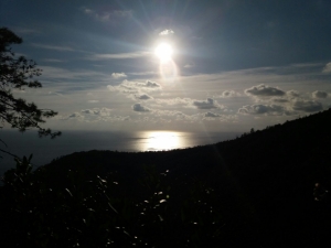 (foto Nicoletta Corradi)