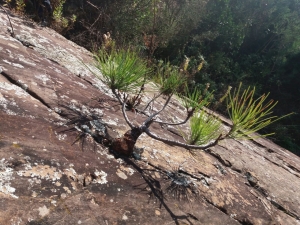 (foto Nicoletta Corradi)