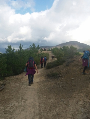 (foto Nicoletta Corradi)