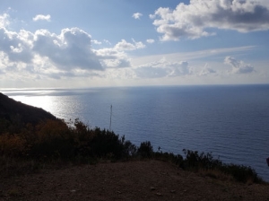 (foto Michela Zanichelli)