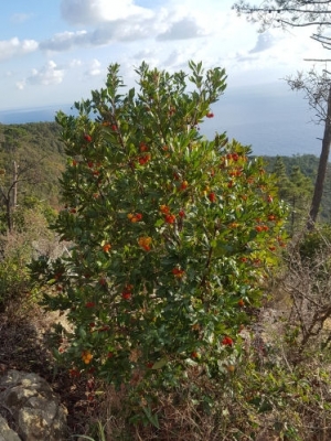 (foto Michela Zanichelli)