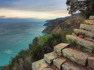 (foto Andrea Franchi)