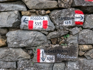 (foto Paola Salvanelli)