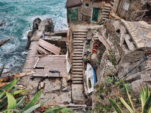 (foto Andrea Franchi)