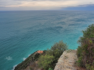 (foto Andrea Franchi)