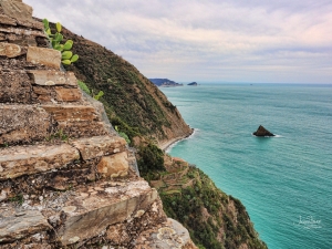 (foto Andrea Franchi)