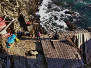 (foto Fabio Cavazzini)