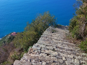 (foto Fabio Cavazzini)