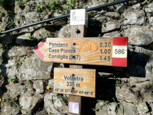 (foto Marcella Caviola)