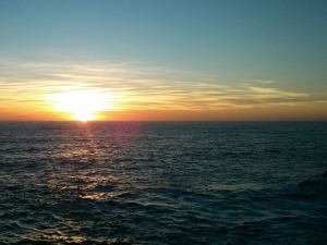 (foto Francesca Chiappa)