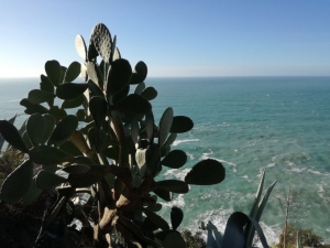 (foto Marcella Caviola)