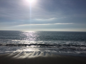 (foto Silvia Dalla Chiesa)