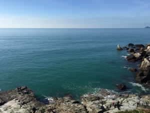 (foto Silvia Dalla Chiesa)