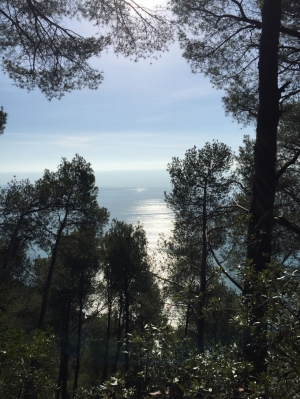 (foto Silvia Dalla Chiesa)