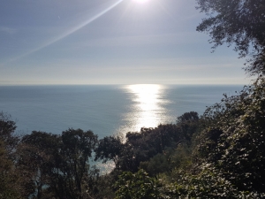 (foto Bushra Saifeldeen)