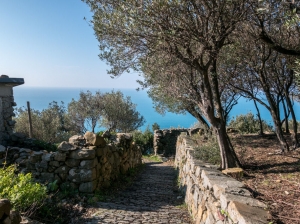 (foto Paola Salvanelli)