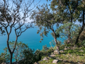 (foto Paola Salvanelli)