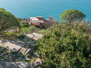 (foto Paola Salvanelli)