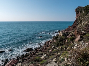 (foto Paola Salvanelli)