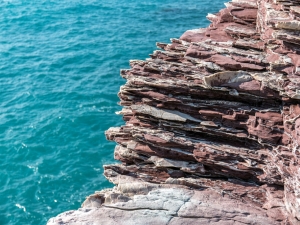 (foto Paola Salvanelli)