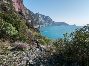 (foto Paola Salvanelli)