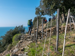 (foto Paola Salvanelli)