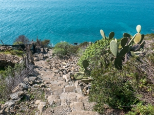 (foto Paola Salvanelli)