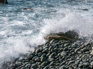 (foto Paola Salvanelli)