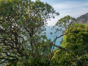 (foto Paola Salvanelli)