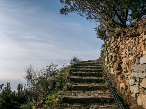 (foto Paola Salvanelli)