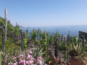 (foto Andrea Bellicchi)