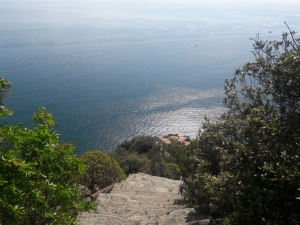 (foto Andrea Bellicchi)