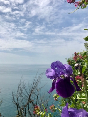 (foto Anna Dellagrossa)