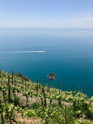 (foto Anna Dellagrossa)