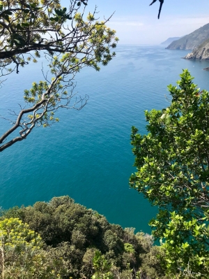 (foto Anna Dellagrossa)