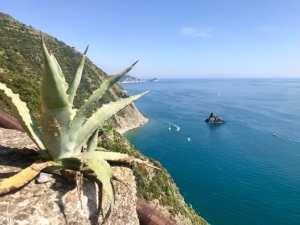 (foto Anna Dellagrossa)