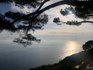 (foto Anna Dellagrossa)