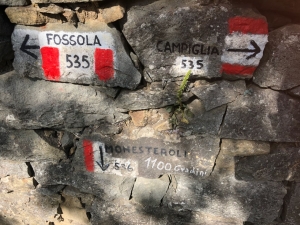 (foto Francesca Noceti)