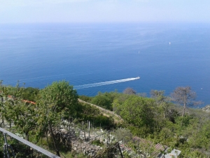 (foto Ilaria Sartori)