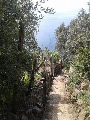 (foto Ilaria Sartori)