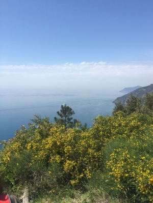 (foto Lucia Bertolini)