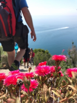 (foto Valeria Medioli)