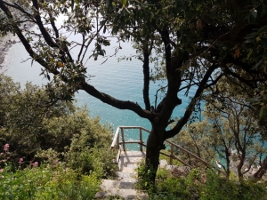 (foto Maria Gaia Soana)