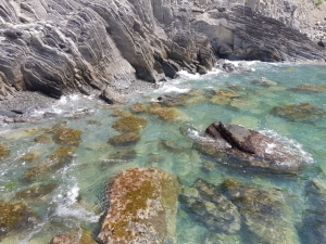 (foto Maria Gaia Soana)