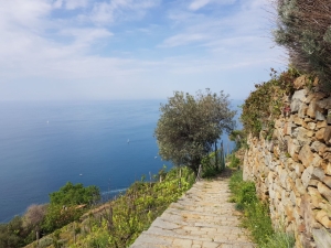 (foto Maria Gaia Soana)