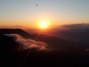 (foto Elisa Dall'Aglio)