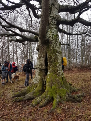 (foto Aldo Facchinelli)