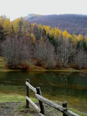 (foto Ilaria Bocchi)