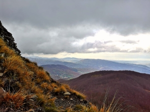 (foto Ilaria Bocchi)